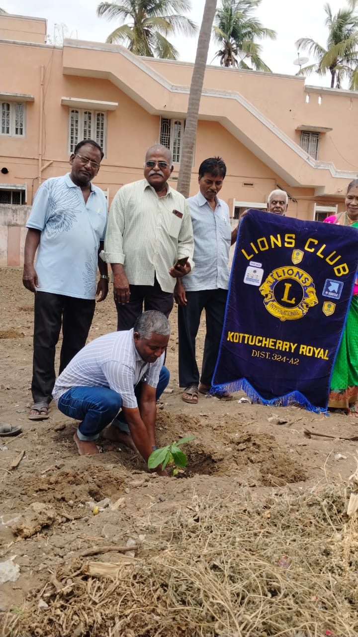 நடப்பட்ட மரக்கன்றுக்கு நீர் ஊற்றும் காட்சி