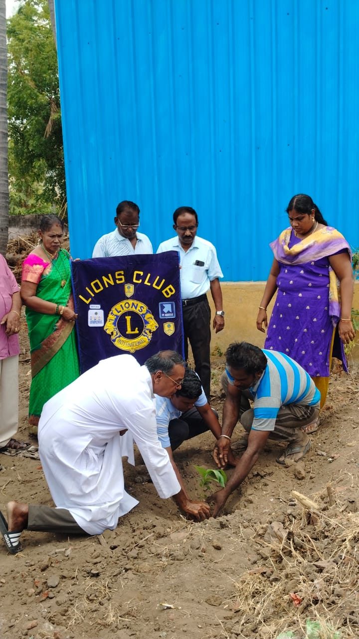 மரக்கன்று நடும் நிகழ்வில் பங்கினர்